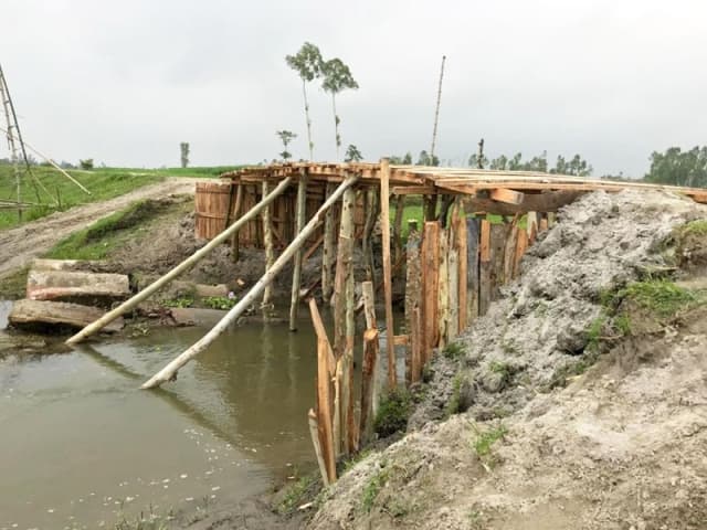 Gallery image 16